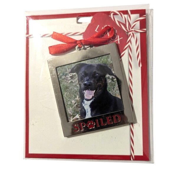 Lenox Red Frame 2.75 In Spoiled Pet Ornament With Ribbon - Picture 1 of 4
